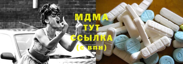 индика Краснотурьинск