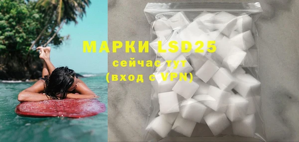 индика Краснотурьинск