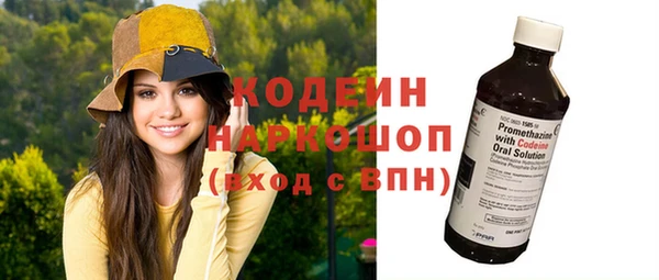индика Краснотурьинск
