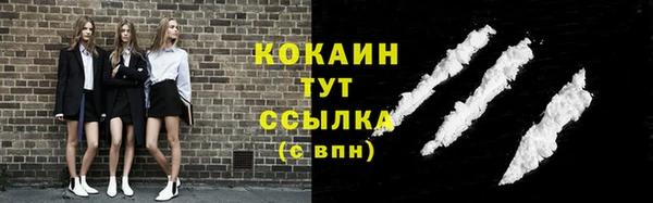 индика Краснотурьинск
