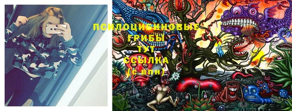 индика Краснотурьинск