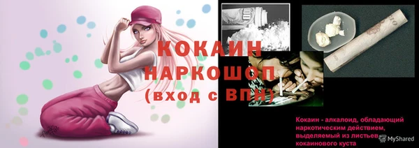 индика Краснотурьинск