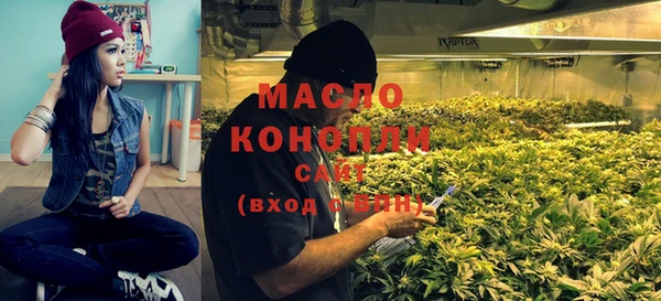 индика Краснотурьинск