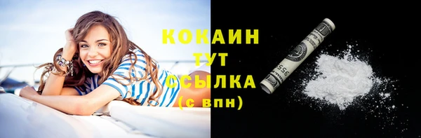 индика Краснотурьинск