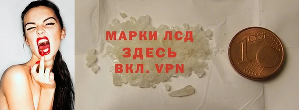 гашик Краснослободск