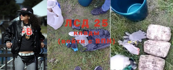 гашик Краснослободск