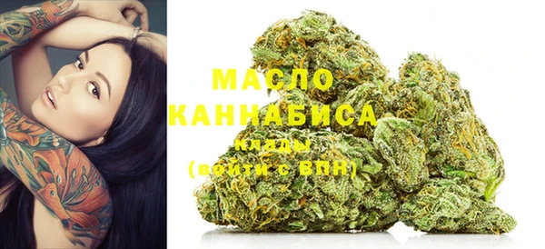 индика Краснотурьинск