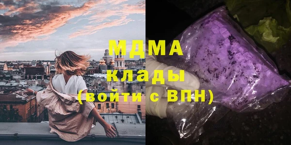 индика Краснотурьинск