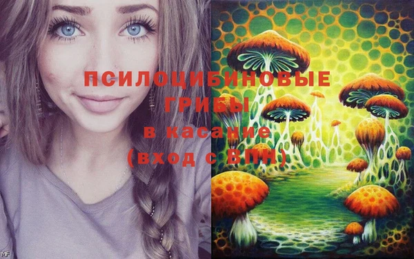 индика Краснотурьинск