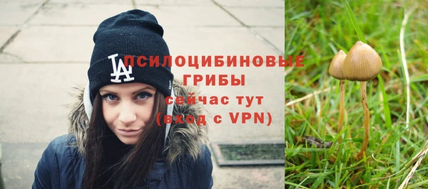гашик Краснослободск
