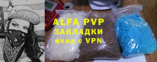индика Краснотурьинск