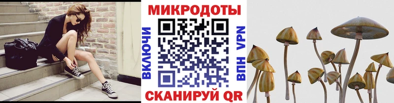 Купить закладки  Зеленокумск  Галлюциногенные грибы мухоморы 